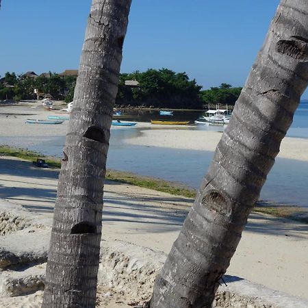 ザ シャークス テール ダイブ リゾート Daanbantayan エクステリア 写真