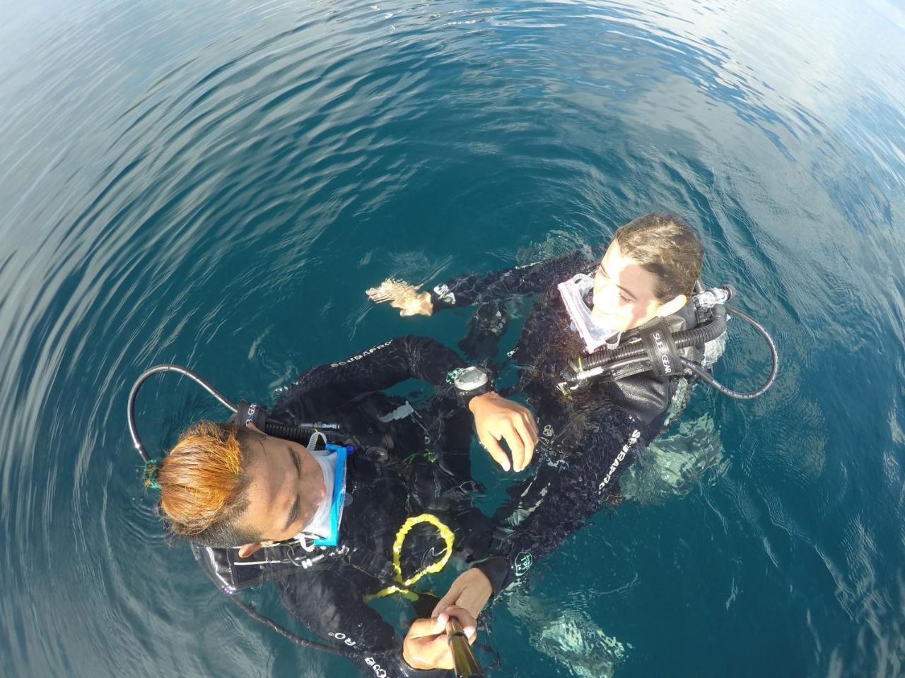 ザ シャークス テール ダイブ リゾート Daanbantayan エクステリア 写真